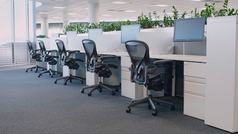 Aeron-stoelen in een rij van werkstations met op het bureau gemonteerde monitorarmen.