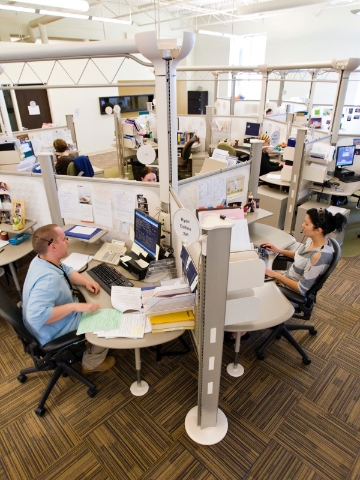 Call center employees work from within cubicles featuring an organic layout and lowered walls. 