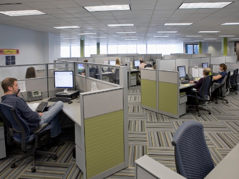 Office employees work while seated in cubicles with extended walls for increased privacy. 