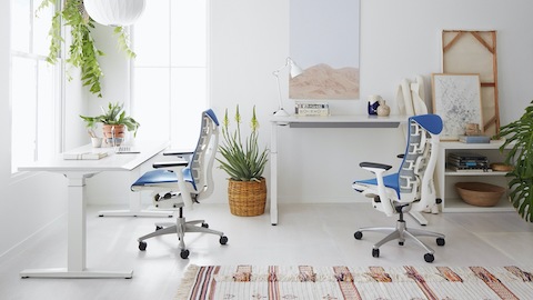 Blue and white Embody Chairs paired with ergonomic Renew Sit-to-Stand Desks, surrounded by plants and office accessories.