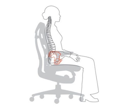 An illustration showing how the Embody Chair positions the spine and pelvis in an upright position.