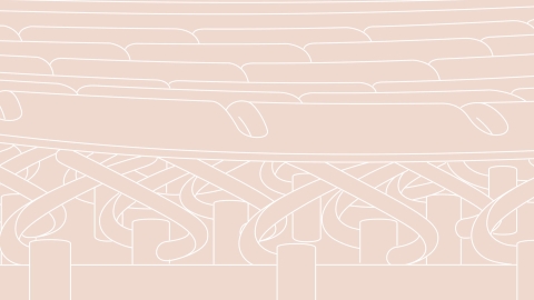 A graphic rendering of the Embody Chair's multiple cushion layers. 