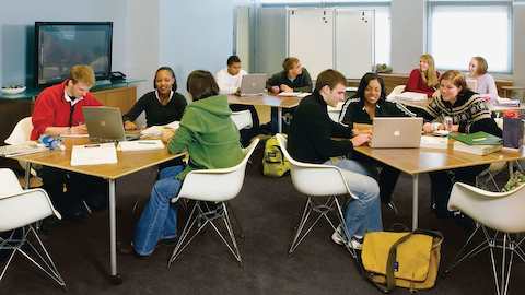 A group of students seated in Eames chairs gather around laptops while studying.