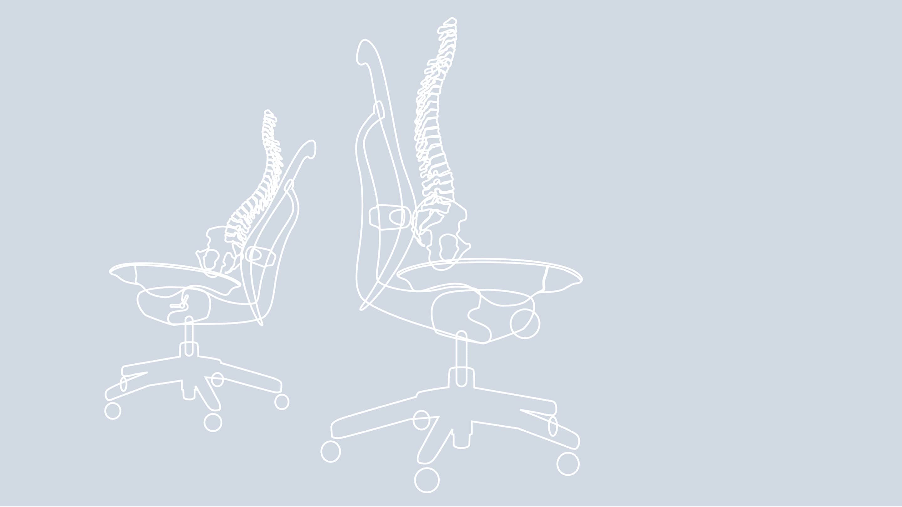 Supporting The Spine When Seated Research Herman Miller