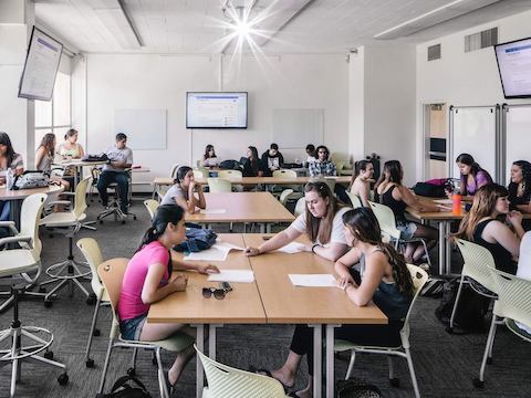 Gruppi di studenti siedono su sedute Caper mentre studiano in un edificio universitario.