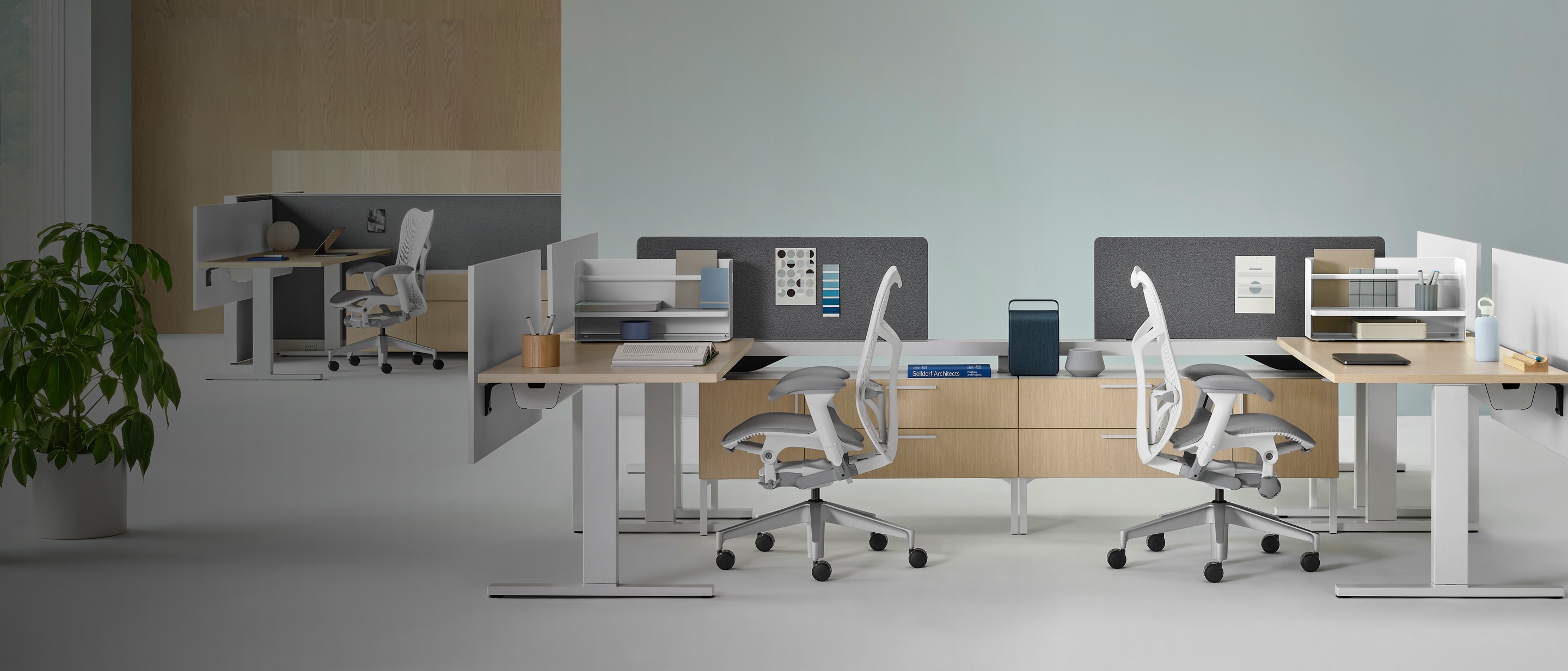 Canvas Vista workstations with Mirra 2 chairs in the foreground, and Canvas Wall workstations with Mirra 2 chairs in the background.