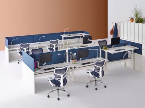 A benching work setting featuring blue Mirra 2 office chairs and the Renew Link system with height-adjustable desks. 