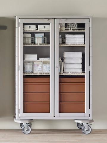 A medical clean supply room featuring a double-wide Procedure and Supply Cart with lockable glass doors. A medical clean supply room featuring a double-wide Procedure and Supply Cart with lockable glass doors.