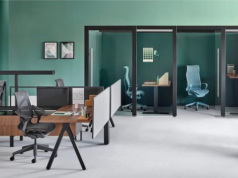 An administrative setting with two Overlay rooms containing height-adjustable desks and Cosm office chairs and a Canvas Vista workstation nearby.