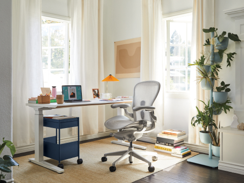 A bright and sunny home office with side-by-side desks under a window and two light gray Aeron office chairs.