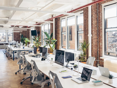 An after photo of Harry's workplace, showing a benching configuration with gray Sayl office chairs.