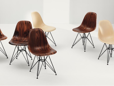 Six Eames Molded Wood Chairs in light and dark finishes. Select to read an essay about seating.