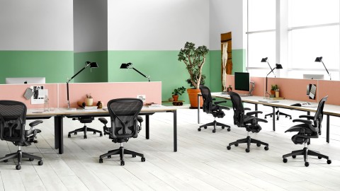 Herman miller office