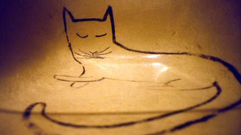 A color archival photo taken at Eames Studio of close-up of the Steinberg Cat, hand-painted on a shell armchair.