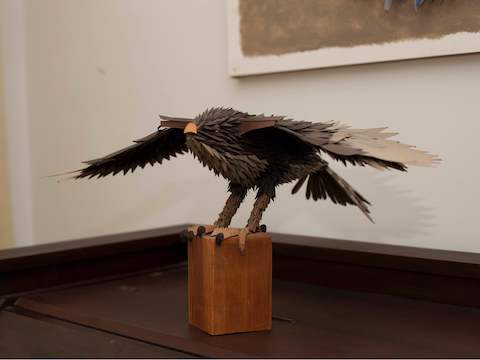 A bird of prey’s plumage comes close to realism. A bird of prey’s plumage comes close to realism.