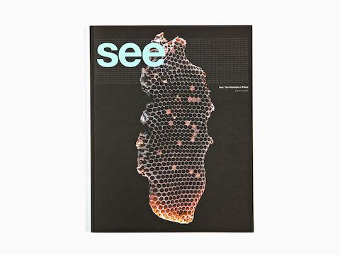 See Magazine See Magazine