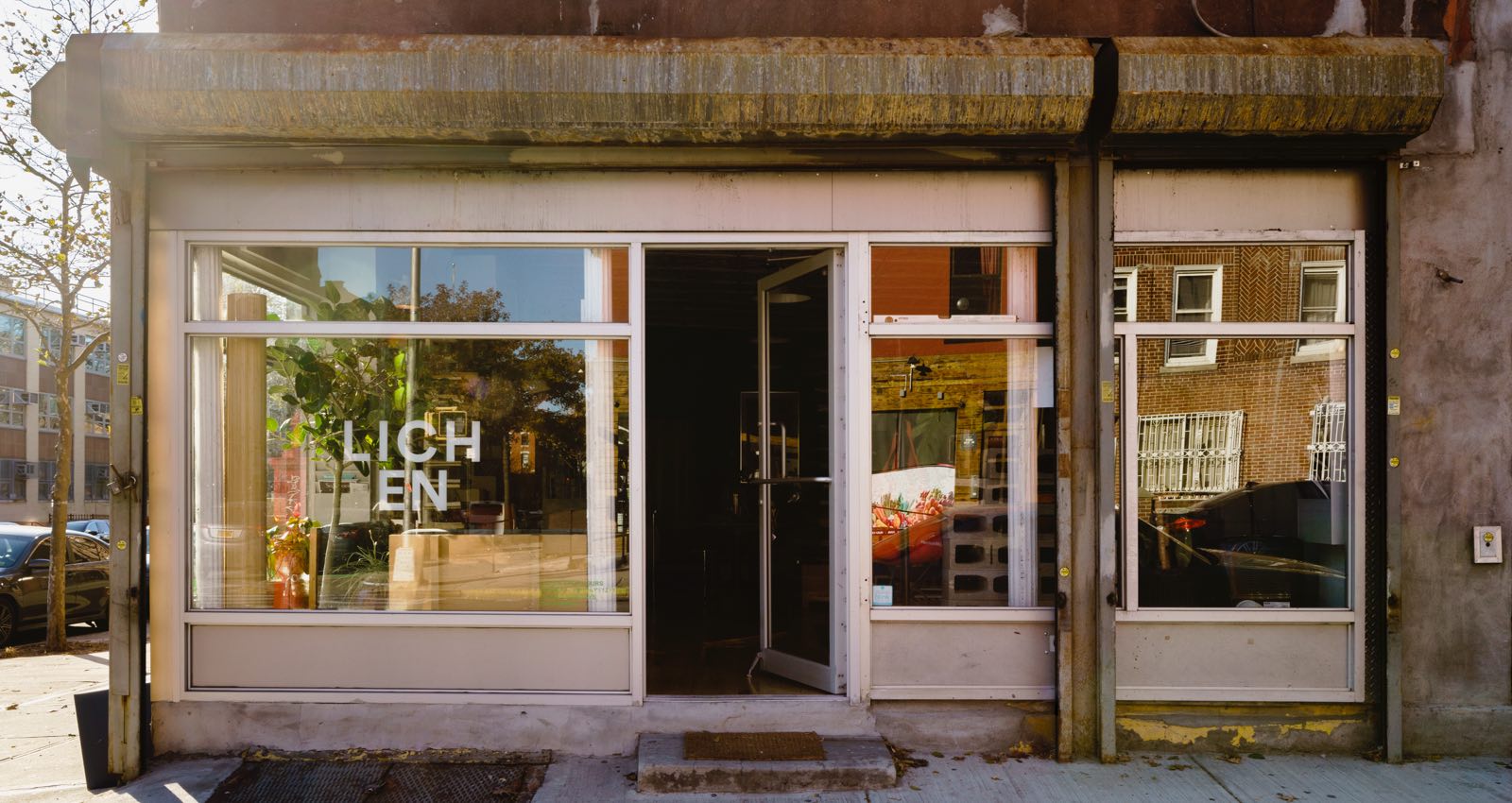 Outside street view of the Brooklyn-based Lichen store.