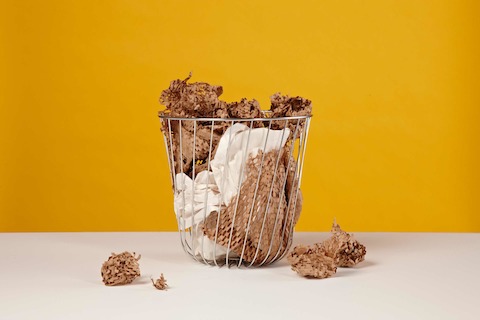 A round wire basket filled with crumpled paper. A round wire basket filled with crumpled paper.