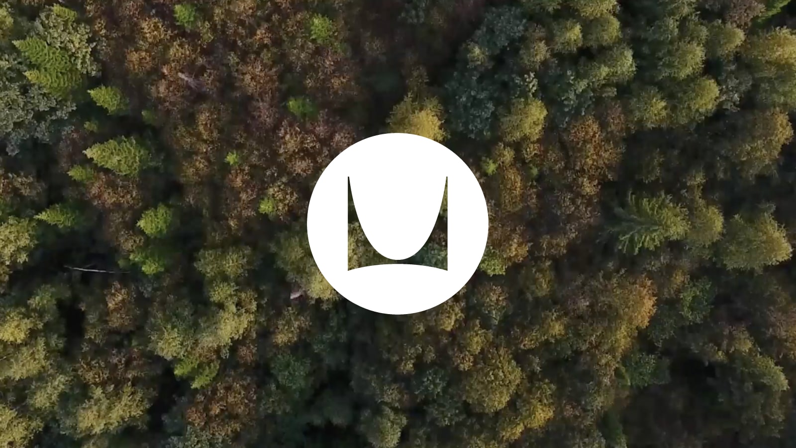 An aerial view panning the top of a forest of trees, with an animated Herman Miller logo.